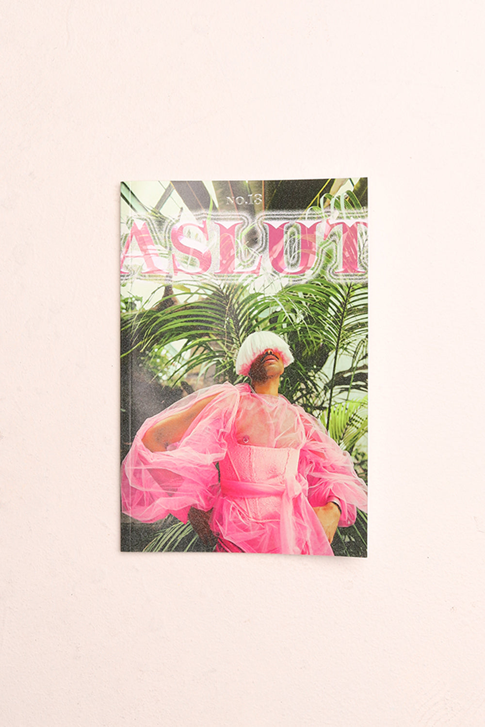 ASLUT Issue #13