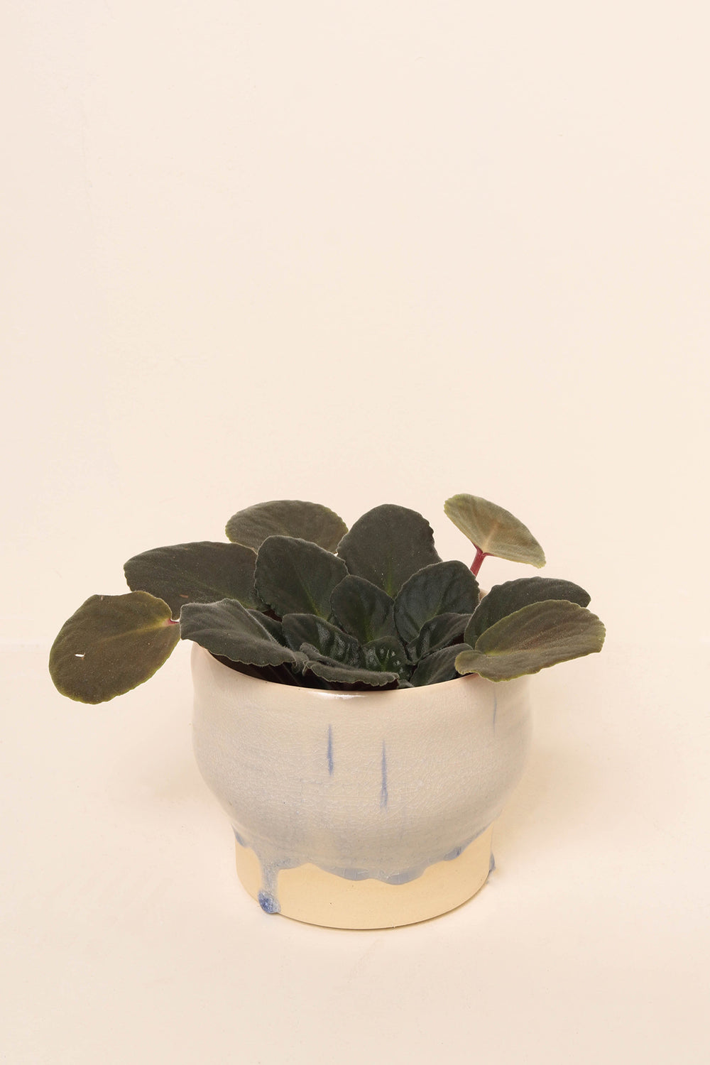 Henry Bennett Drip Crystalline Planter