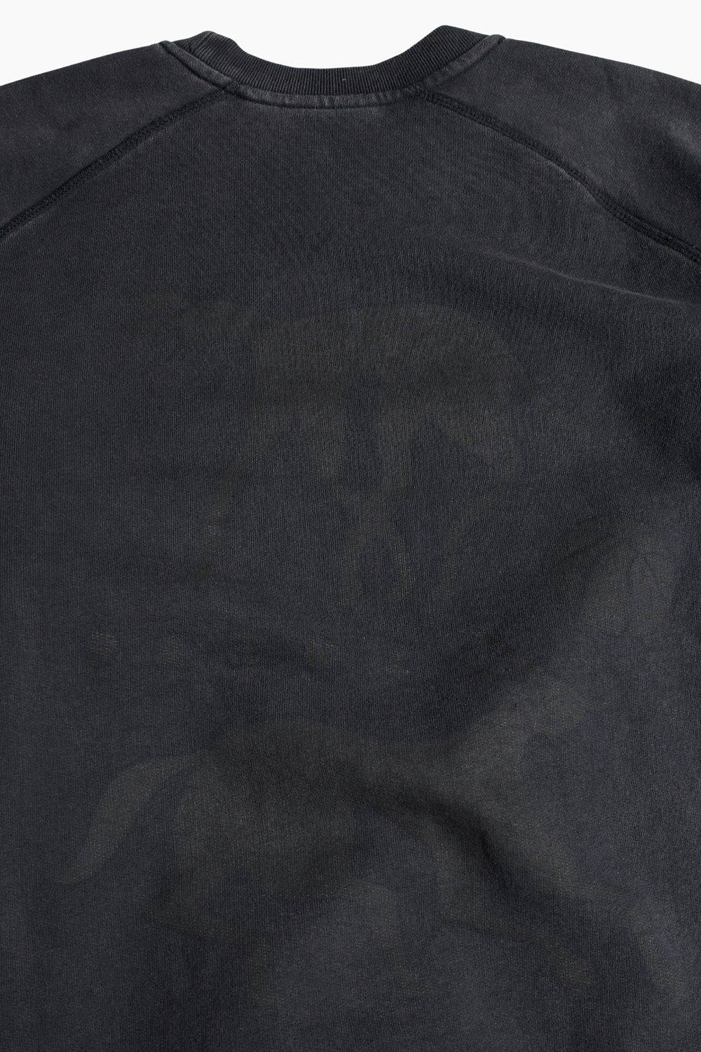 By Parra Swimming With Pets Crewneck