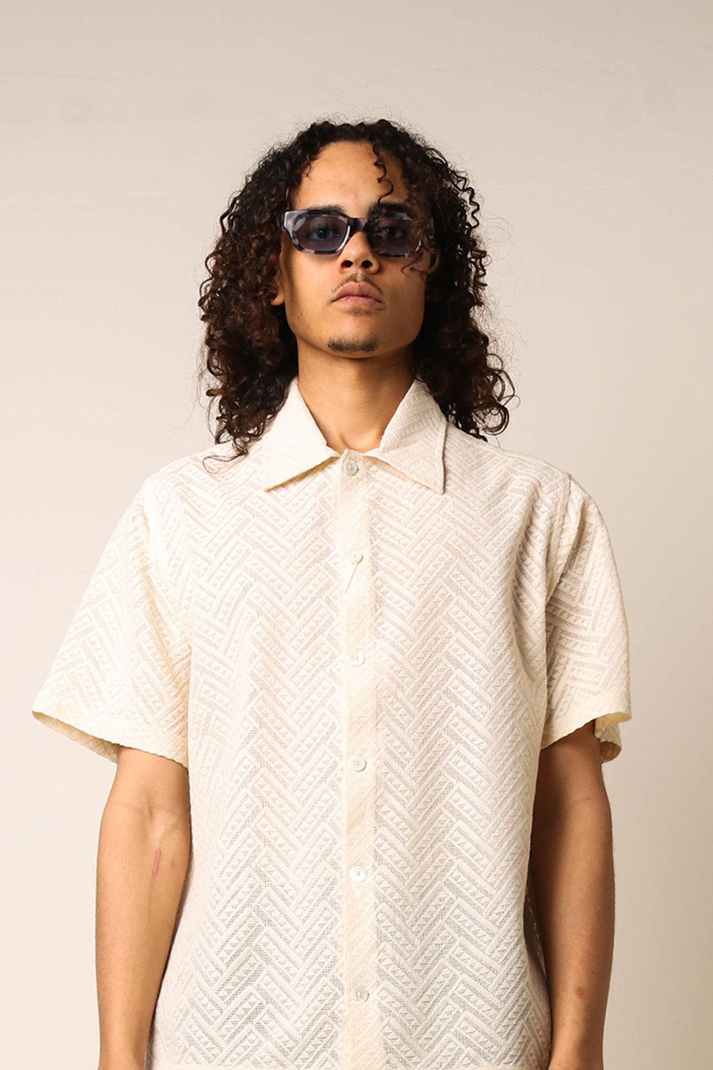 Zed Brooklyn Tortoise