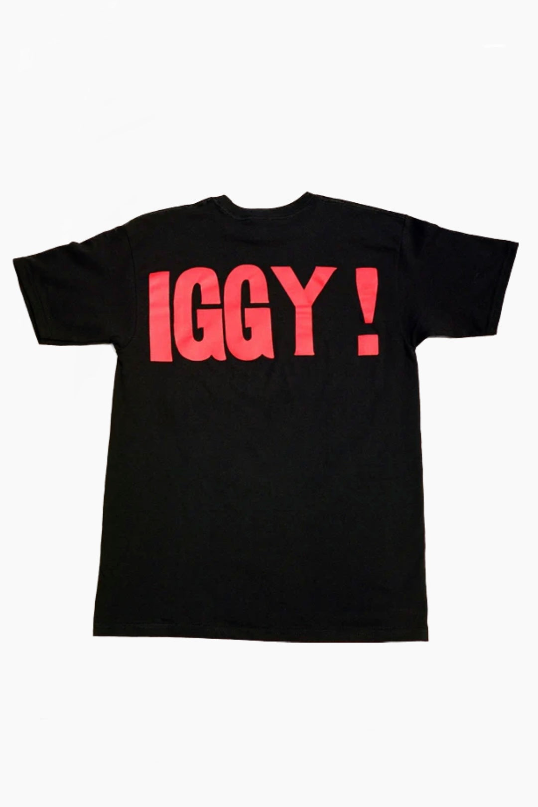 Iggy Obscene Seditious Defamatory Short Sleeve T-Shirt