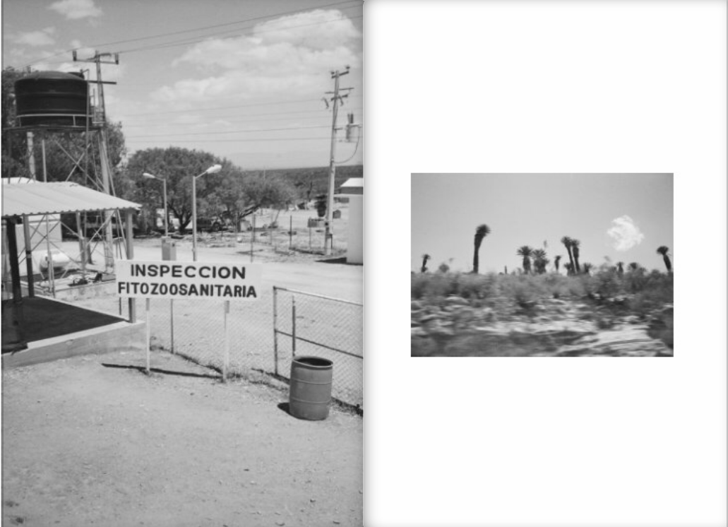 ALDO DELARA: Memorias